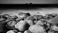 314 - PORTH NANVEN AND BISONS - MORTIMER DAVID - united kingdom <div